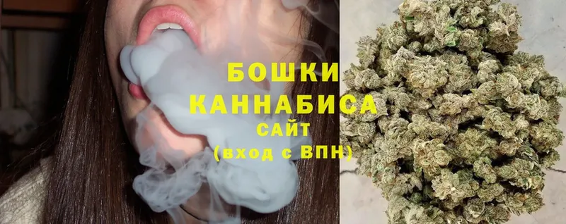 нарко площадка официальный сайт  Чкаловск  Шишки марихуана SATIVA & INDICA  купить  сайты 